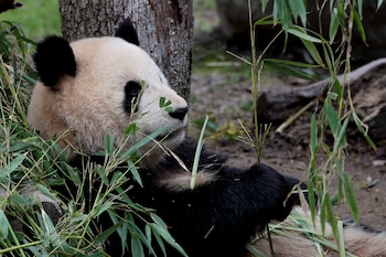 El aumento de la población