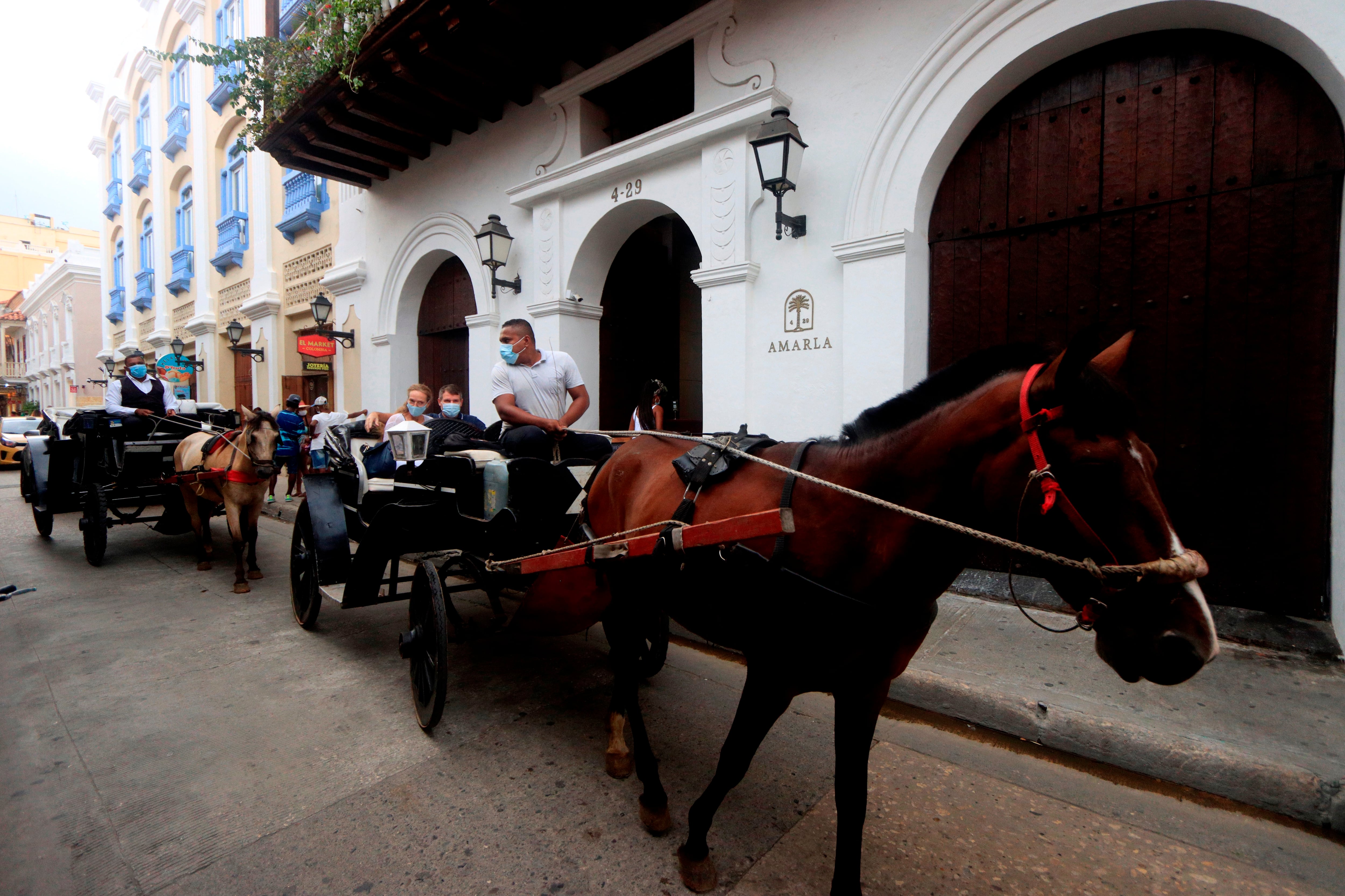Corte frena el turismo con animales y ordena su reemplazo en seis meses