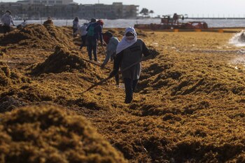 Así se vivió la proliferación