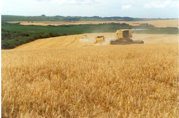 El uso de la edición