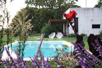 Las plantas, flores coloridas y