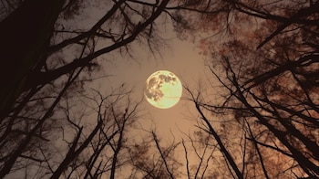 La luna muestra una parte distinta de su cara cada semana (Imagen Ilustrativa Infobae)