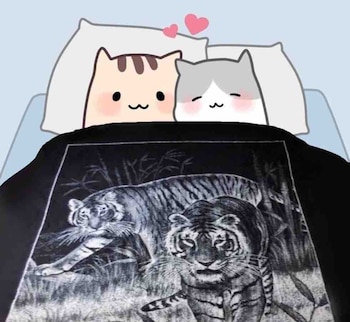 Descubre la historia detrás de