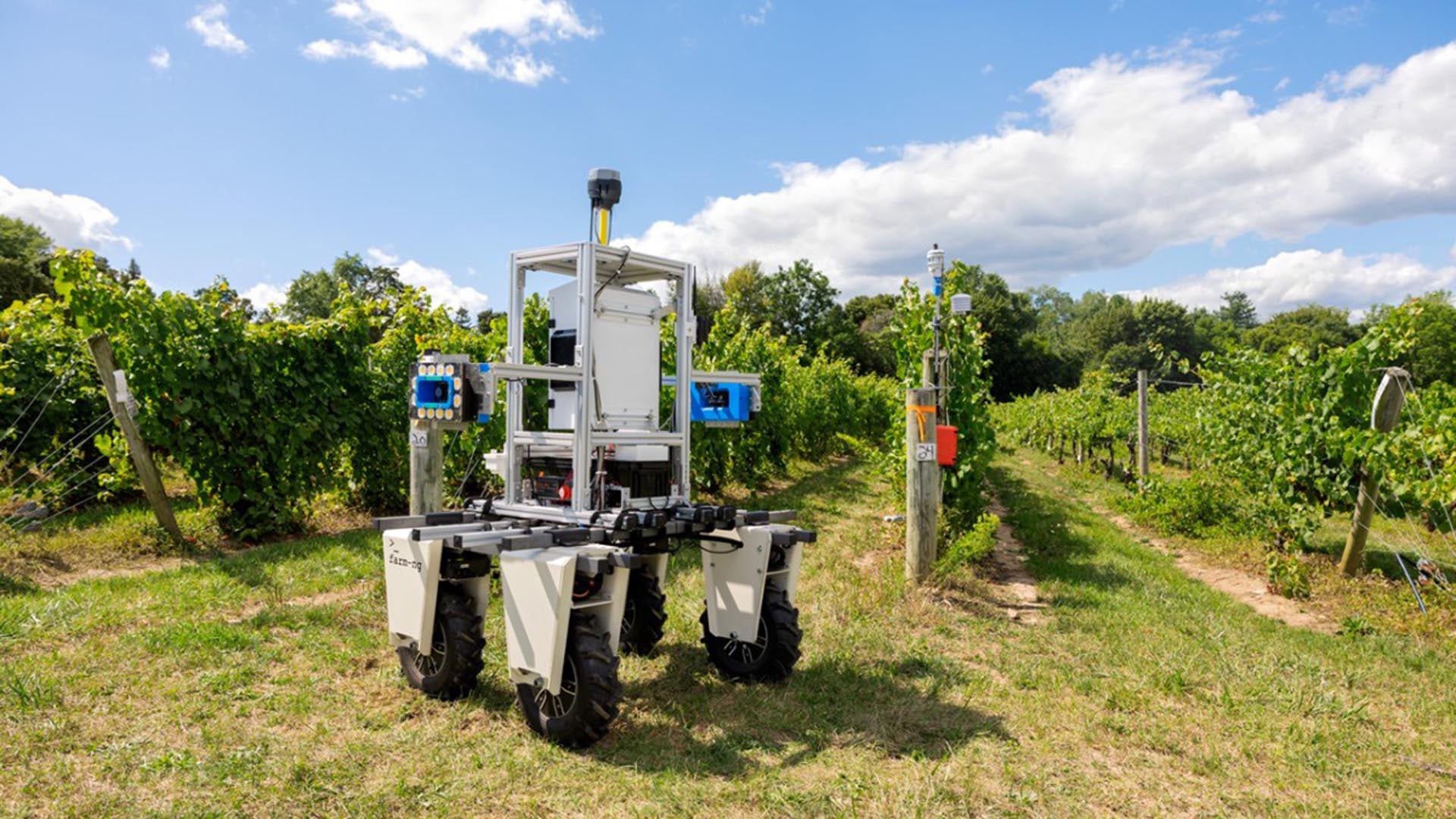 La digitalización del agro aparece como una de las condiciones para reducir costos, anticipar riesgos climáticos, optimizar el uso de insumos y mejorar la toma de decisiones. Cornell University