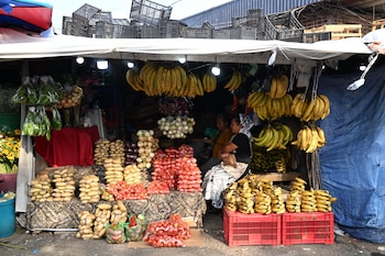 Canasta básica El Salvador, Centroamérica, Frutas y verduras, economía salvadoreña