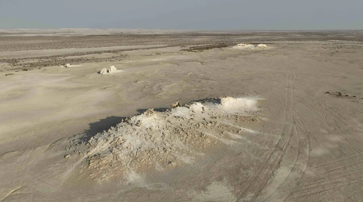 Este enclave arqueológico puso a Catar en el centro de la paleontología mundial por la abundancia y diversidad de hallazgos (Ministry of Environment and Climate Change)
