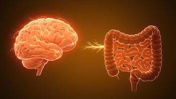 Por qué el microbioma intestinal