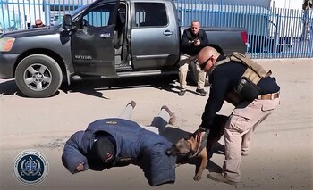 (Foto: Fiscalía de Baja California)