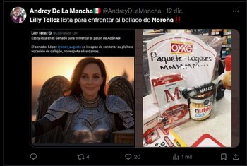 La pelea entre la senadora