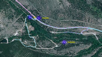 La búsqueda frenética de Suzanne: