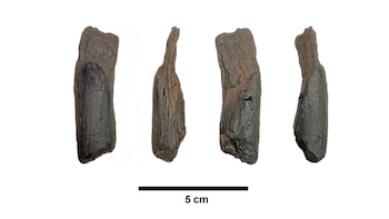 Descubren en Grecia las herramientas