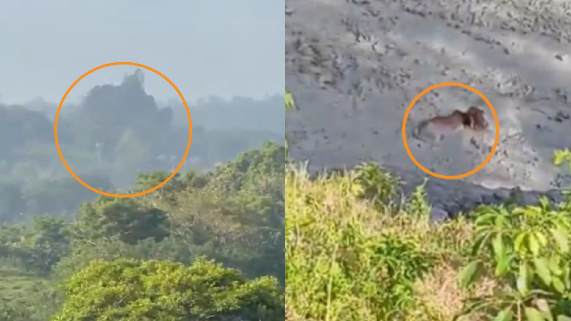 La activación de un volcán de lodo en San Pedro de Urabá generó alarma en la vereda Molinillo del corregimiento Santa Catalina - crédito @El_verseador / X