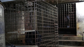 Las dos jaulas donde estaban