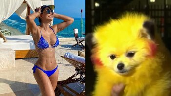 “Crueldad animal”: Ninel Conde fue