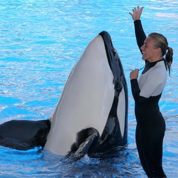 Desde pequeña Dawn Brancheau había