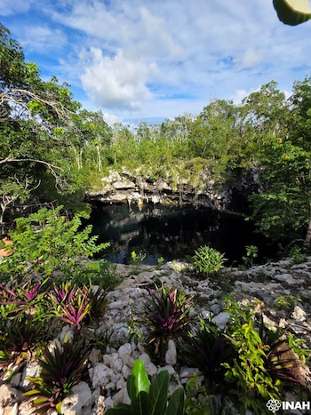 Vista aérea de un cenote rodeado de vegetación densa, con agua oscura, paredes rocosas, plantas con hojas púrpuras en primer plano y cielo azul con nubes
