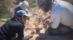 Descubren en Río Negro fósiles de un cocodrilo que vivió hace 85 millones de años