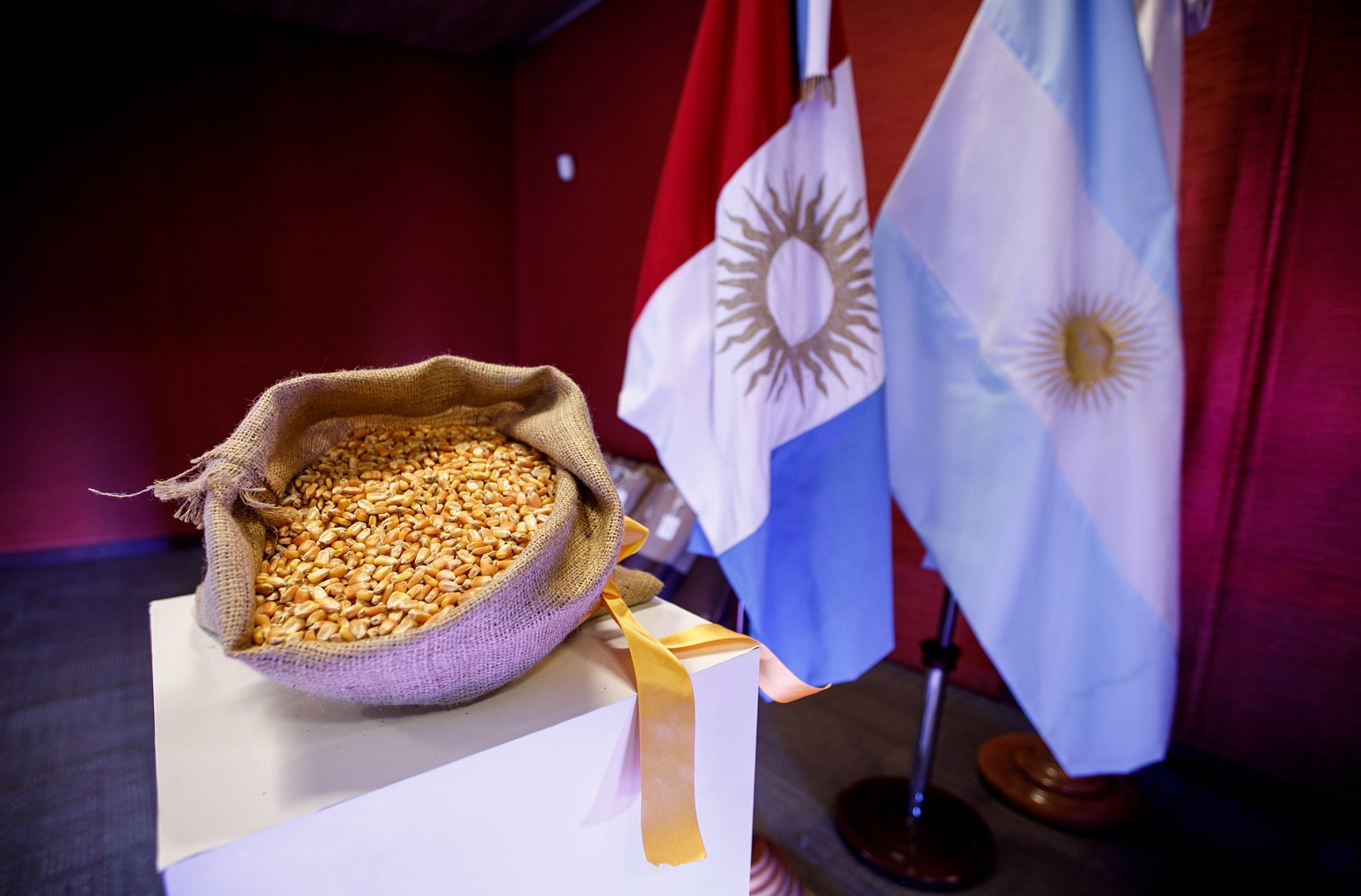 Por qué, pese al “gusano cogollero” y la “chicharrita”, la Argentina pasó a dominar el mercado mundial de maíz