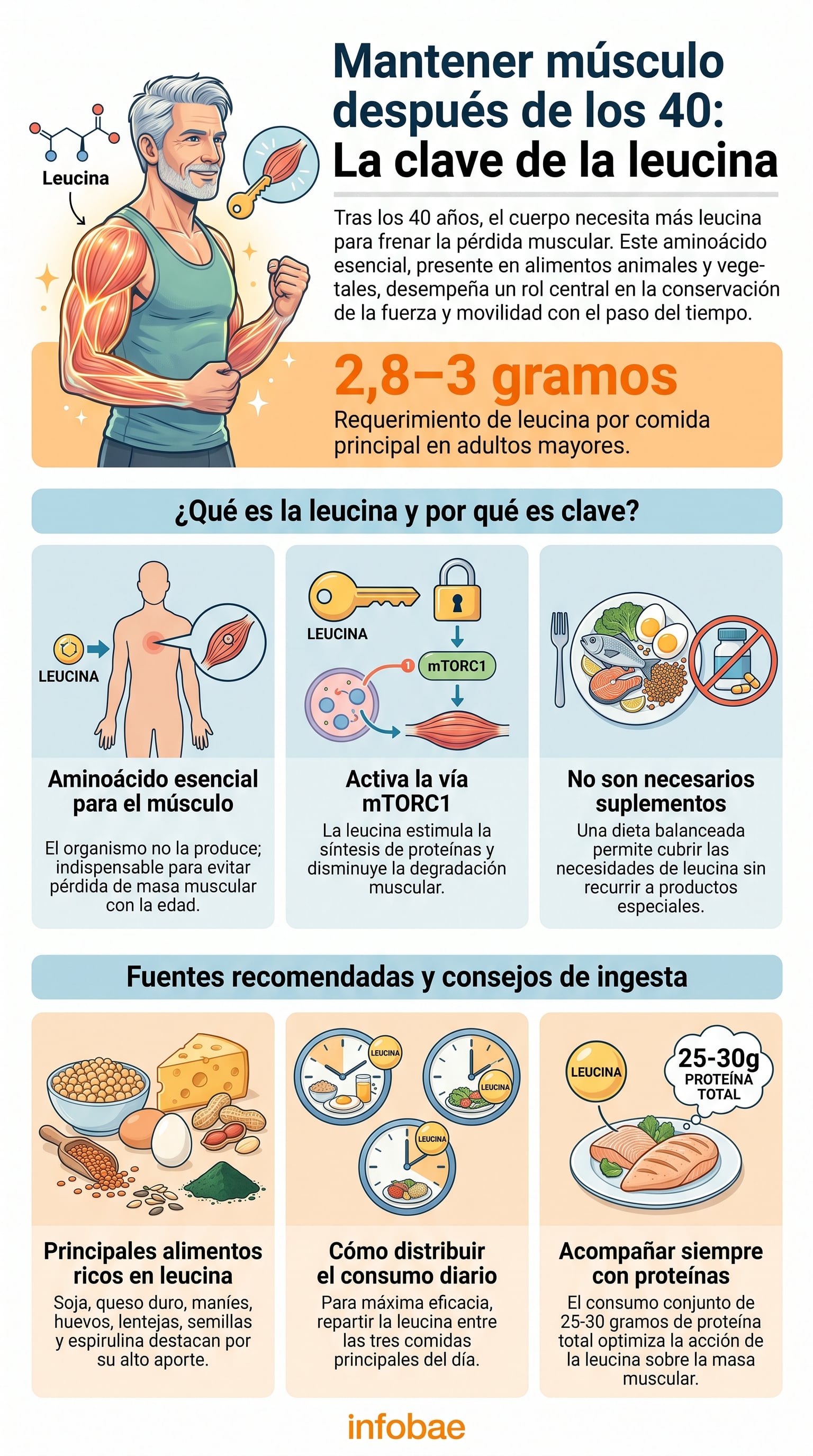 La leucina es un aminoácido esencial que ayuda a mantener la masa muscular después de los 40 años y el organismo solo la obtiene a través de la dieta.