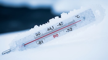 La Antártida registró la temperatura más baja del planeta en 14 años: cuánto marcó el termómetro