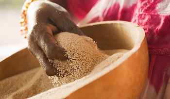 El fonio es un grano