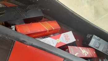 Vehículo y especies fueron derivadas hasta la comisaría para investigación preliminar.