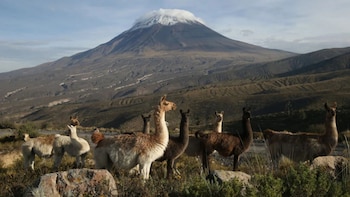 La ciudad blanca brilla en