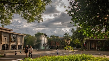 La Universidad de Antioquia aplazó la elección de rector hasta junio de 2026