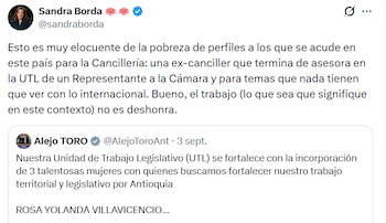 Crítica de Sandra Borda a la excanciller Rosa Villavicencio