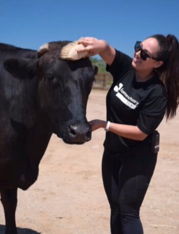 Recibieron sesiones de spa, masajes,