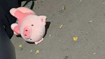 Un peluche de puerquito y jóvenes de 17 años: el inquietante patrón detrás de dos asesinatos en Culiacán, Sinaloa