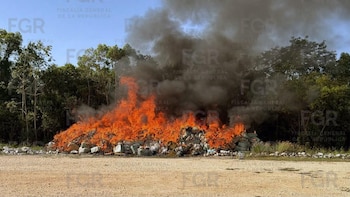 Autoridades incineran 184 kilos de drogas y destruyen objetos relacionados a delitos en Quintana Roo. FGR
