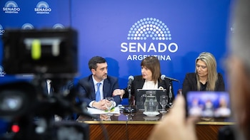 El oficialismo busca retomar en el Senado el debate sobre la eliminación de las PASO pero no hay consenso con los aliados
