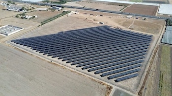 Zelestra construye 441 MW solares