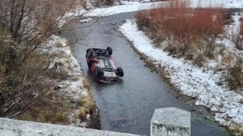 Despiste, caída y tragedia en Neuquén en medio de una fuerte nevada: murió una nena de nueve años en la Ruta 237