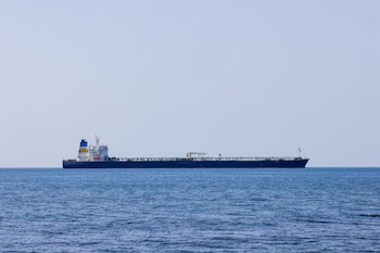 Imagen LE5GVVAMKRFFBDNREEKF3LT6E4