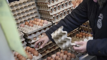 Huevos, café, carne de vacuno