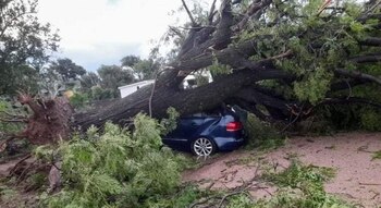 destrozos en Sebastián Elcano, Córdoba, tras el paso de una cola de tornado