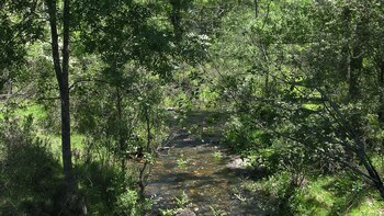 La ruta de las jaras