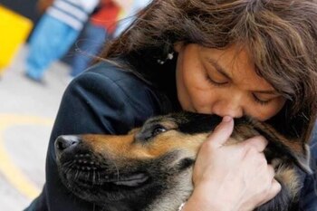 Hace un mes Jane Cosar