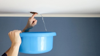 ¿Pensando en alquilar? Estas son