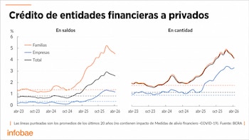 Dos gráficos de líneas sobre crédito a privados, con datos de saldos y cantidad para familias, empresas y total, y ejes de porcentaje y tiempo. Fuente BCRA