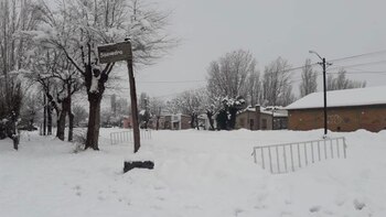 No hay condiciones que posibiliten