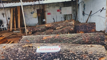 Profepa clausura tres predios en el Estado de México por daño a ecosistemas forestales