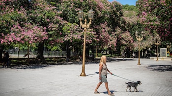 Imagen LEJJJUZD3BA7XH4WLBEOPWZM6A