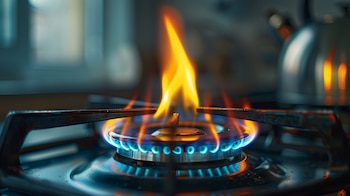 Cocina a fuego lento por