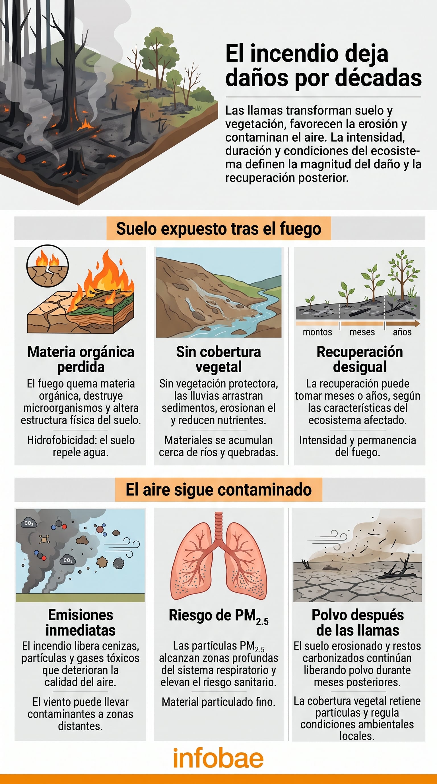 Diego Fernando Becerra explicó que la pérdida de vegetación deja el suelo sin protección frente a las lluvias - crédito Imagen Ilustrativa Infobae