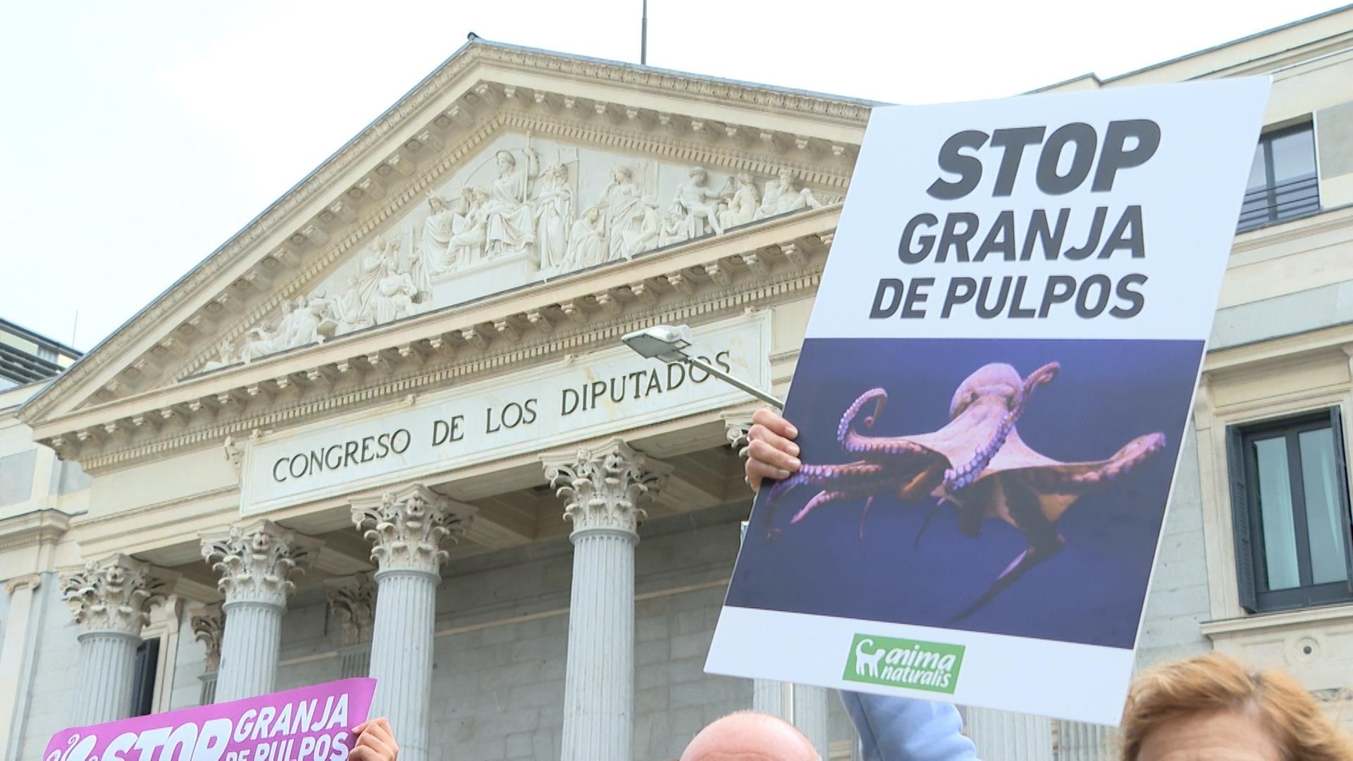 Imagen de archivo de una concentración contra la futura granja de pulpos de Canarias. (Europa Press)