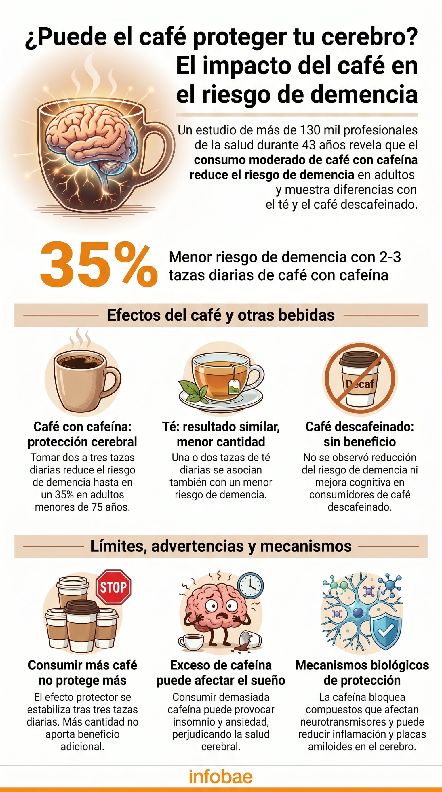 Infografía ilustra que quienes ingerían esta cantidad presentaron hasta un 35% menos riesgo de demencia (Imagen Ilustrativa Infobae)
