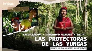 “Las protectoras de las Yungas”: la comunidad guaraní apuesta por la conservación del bosque que alberga una de las mayores biodiversidades de la región